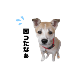 hana_20200415120429