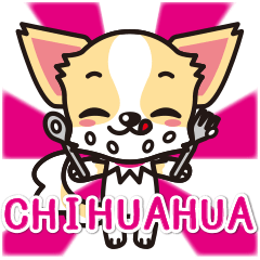 Cute Chihuahuas sticker