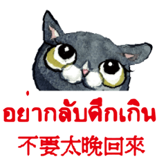Thai Thailand and Chinese107
