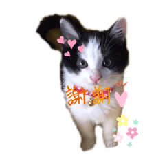 Nagisa_20200421165948