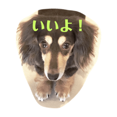 kanae_20200421164955