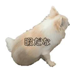 saran STAMP 2