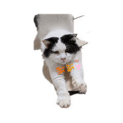 akiko_20200421083009