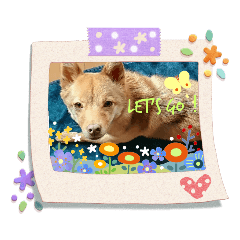 COCOA_20200415110430