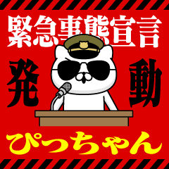 "PICCHAN" Name/Emergency