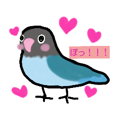 every day parrot