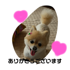 SHUKU chan