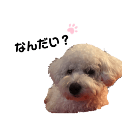 Be&bit