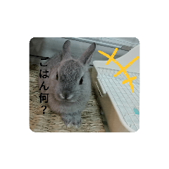 mizuki_20200421210604