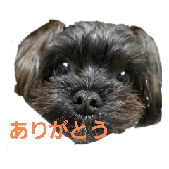 AYUMI_20200421215126