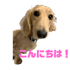 tonokun