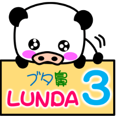 Pig nose Lunda3
