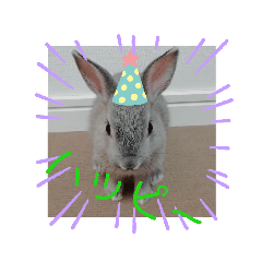 mizuki_20200421172535