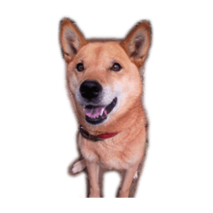 marina_20200421222335