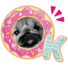 Pekingese.Mugi