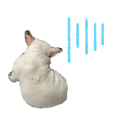 buhi buhi-dog-dogsticker 2