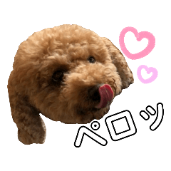 TAKASHI_20200422004640