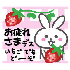 Fruit rabbit