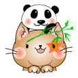ねこ×3　ひよこ（マイペース）　パンダ