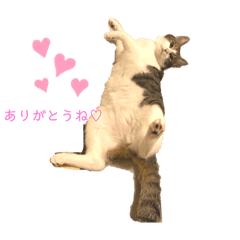 Risa_20200422012726
