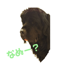 s.kishi_20200421170017