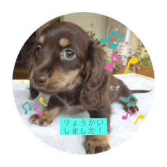 eitan_20200417125308