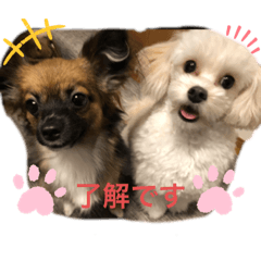 rin_20200422075649