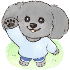 Marukkoinu Toy poodle (Gray/Silver)