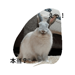 mizuki_20200422082825