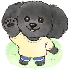 Marukkoinu Toy poodle (black)