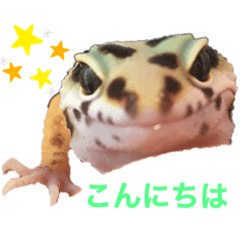 kokoko_20200422115659
