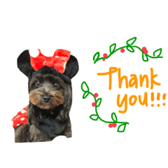 claire's daily life.