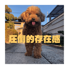 yamada_20200417180704