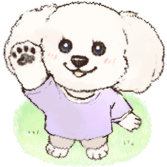 まるっこ犬 トイプードル ホワイト Line スタンプ Line Store まるっこ犬 トイプードル ホワイト Line スタンプ Line Store