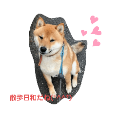 MIYO_20200421205207