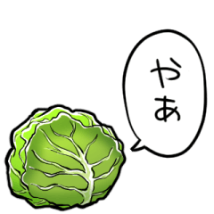 talking cabbage
