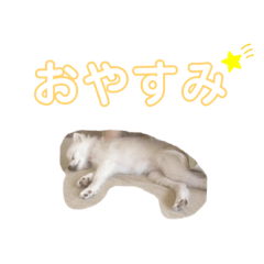 noa0119
