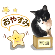 mayoke_20200422103418