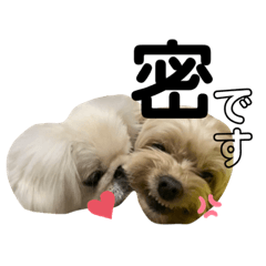 Pono, Zuzu and Diamond – LINE stickers | LINE STORE