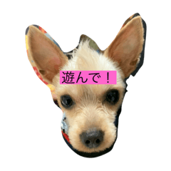 kazuki5577_20200421220205