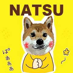 NATSU ASET