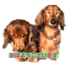 ken_20200422135923