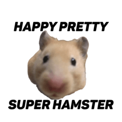 happy pretty super hamster