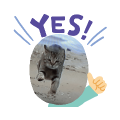 akiko_20200419215352