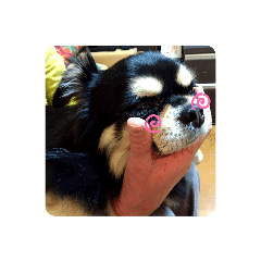 yuuko_20200422145402