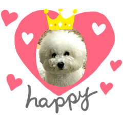 omochi_20200422151018