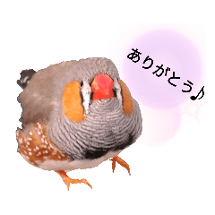 konatsu_20200420002341