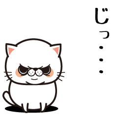 不機嫌な顔の猫 Line スタンプ Line Store