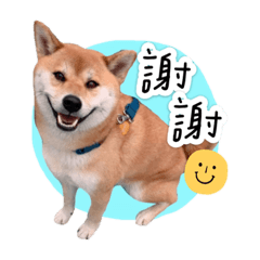 東尼說話了