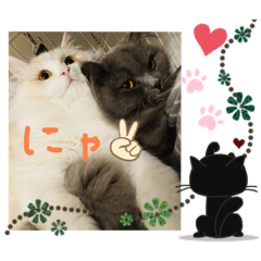 hana_20200422162819